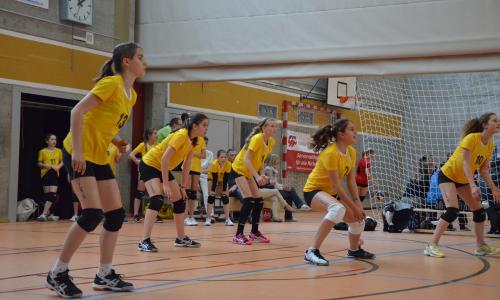 Cours d'entraineur "Réception de service"
